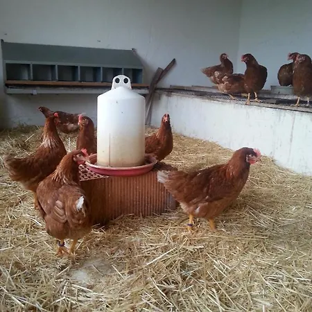 Taubertal Familie Arold